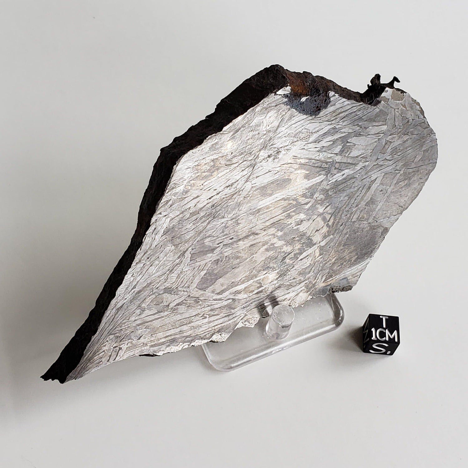  Seymchan Meteorite | 389 Gr | Large Slice Etched and Mirror Polished face | Siderite Pallasite PMG | SO24 