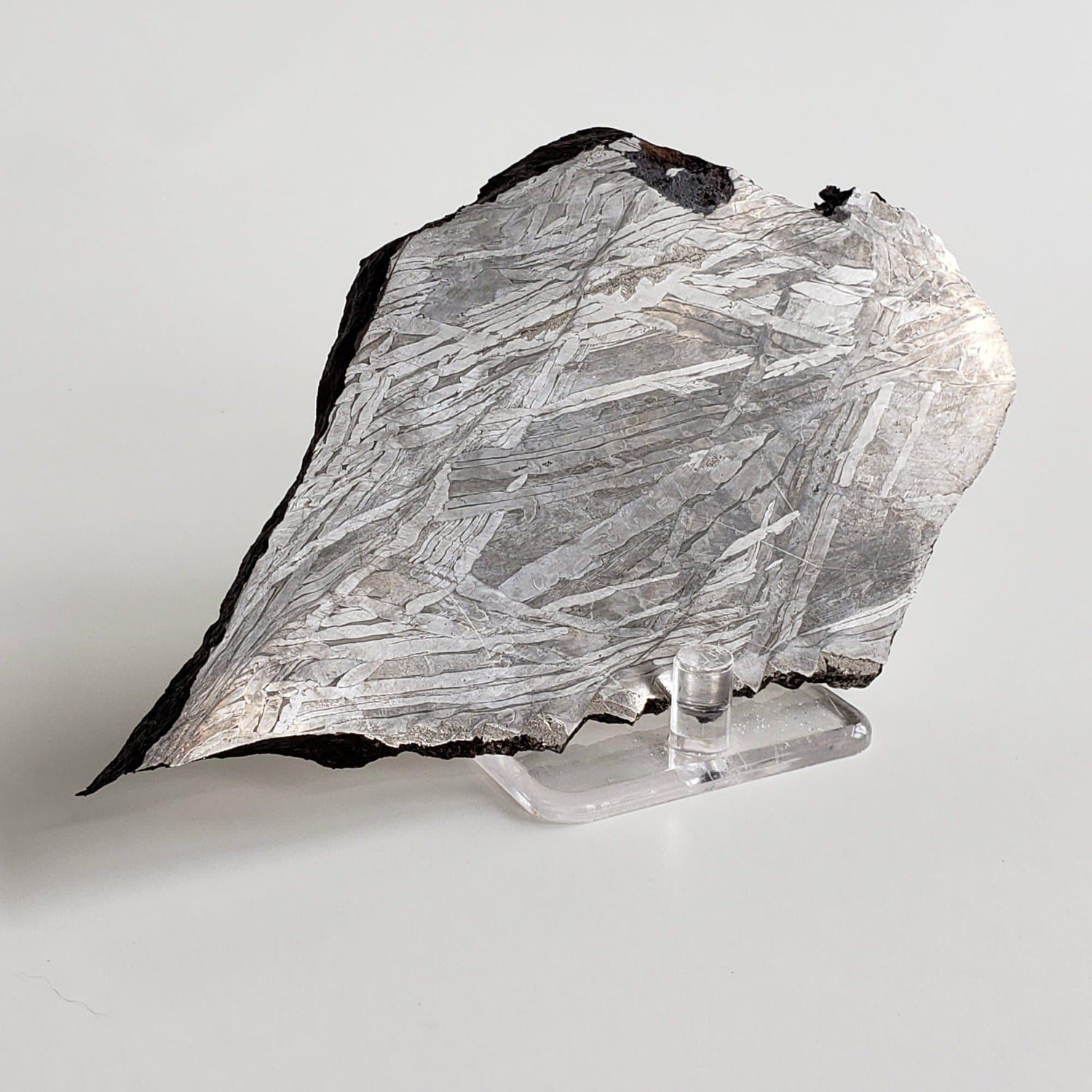  Seymchan Meteorite | 389 Gr | Large Slice Etched and Mirror Polished face | Siderite Pallasite PMG | SO24 1