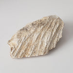  Shatter Cone Impactite | 70.6 grams | Steinheim Basin Impact Structure | Ries crater, Germany SO24 