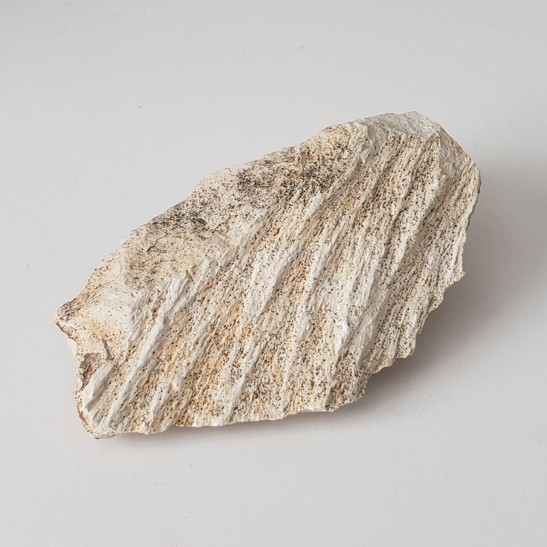  Shatter Cone Impactite | 70.6 grams | Steinheim Basin Impact Structure | Ries crater, Germany SO24 