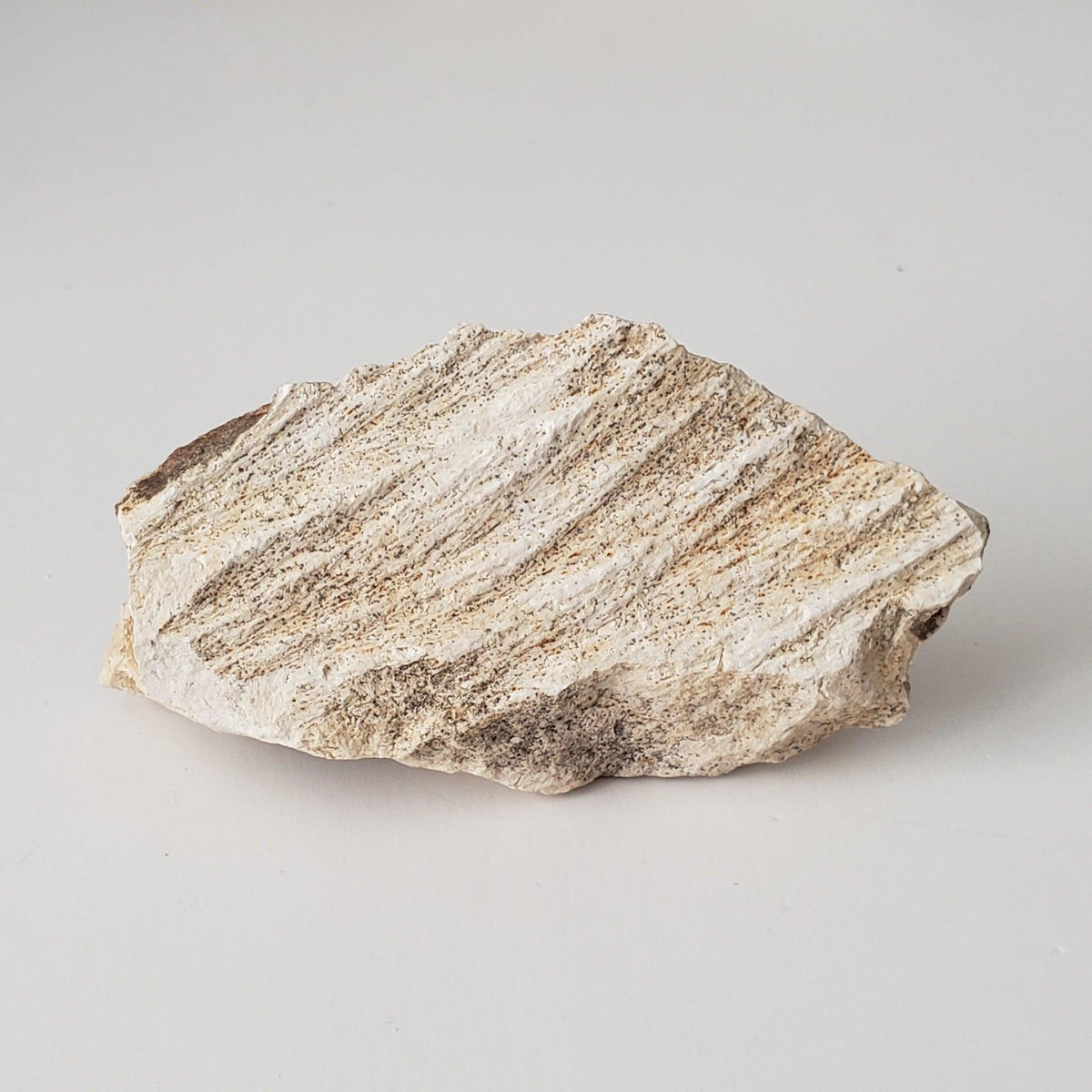  Shatter Cone Impactite | 70.6 grams | Steinheim Basin Impact Structure | Ries crater, Germany SO24 1