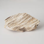  Shatter Cone Impactite | 70.6 grams | Steinheim Basin Impact Structure | Ries crater, Germany SO24 1