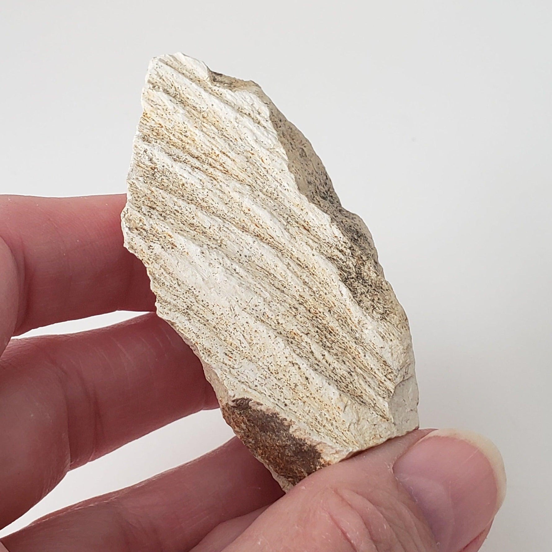  Shatter Cone Impactite | 70.6 grams | Steinheim Basin Impact Structure | Ries crater, Germany SO24 3