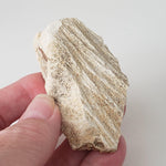  Shatter Cone Impactite | 70.6 grams | Steinheim Basin Impact Structure | Ries crater, Germany SO24 4