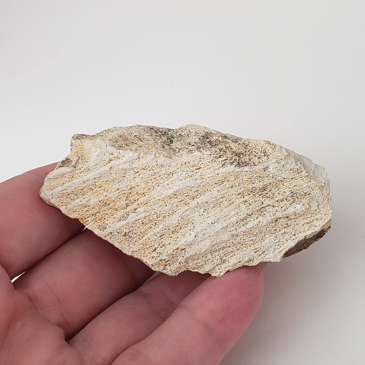  Shatter Cone Impactite | 70.6 grams | Steinheim Basin Impact Structure | Ries crater, Germany SO24 5