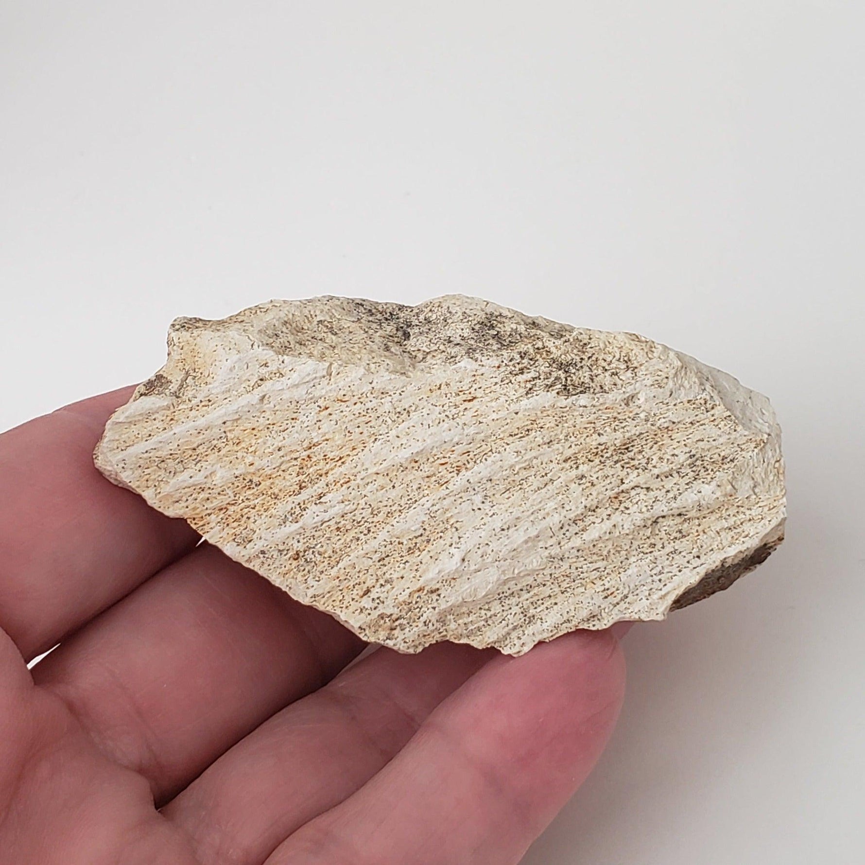  Shatter Cone Impactite | 70.6 grams | Steinheim Basin Impact Structure | Ries crater, Germany SO24 5