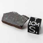  Shişr 010 Meteorite | 2.3 Grams | Slice | L5 Chondrite | Rare | Shişr Desert, Oman | SO24 
