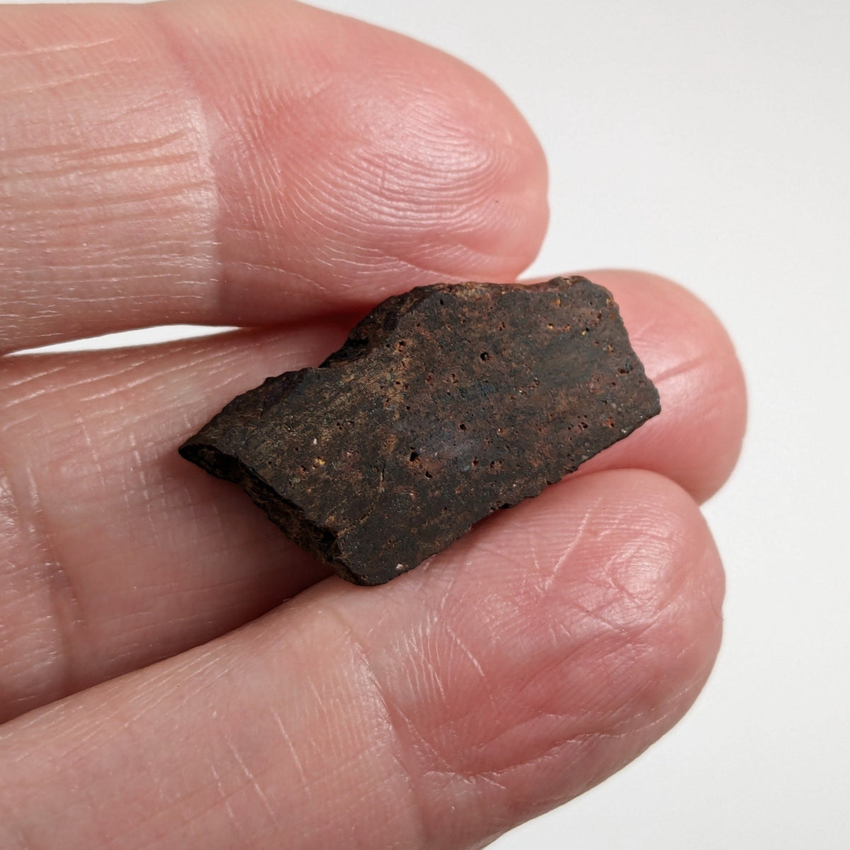  Shişr 010 Meteorite | 2.3 Grams | Slice | L5 Chondrite | Rare | Shişr Desert, Oman | SO24 2