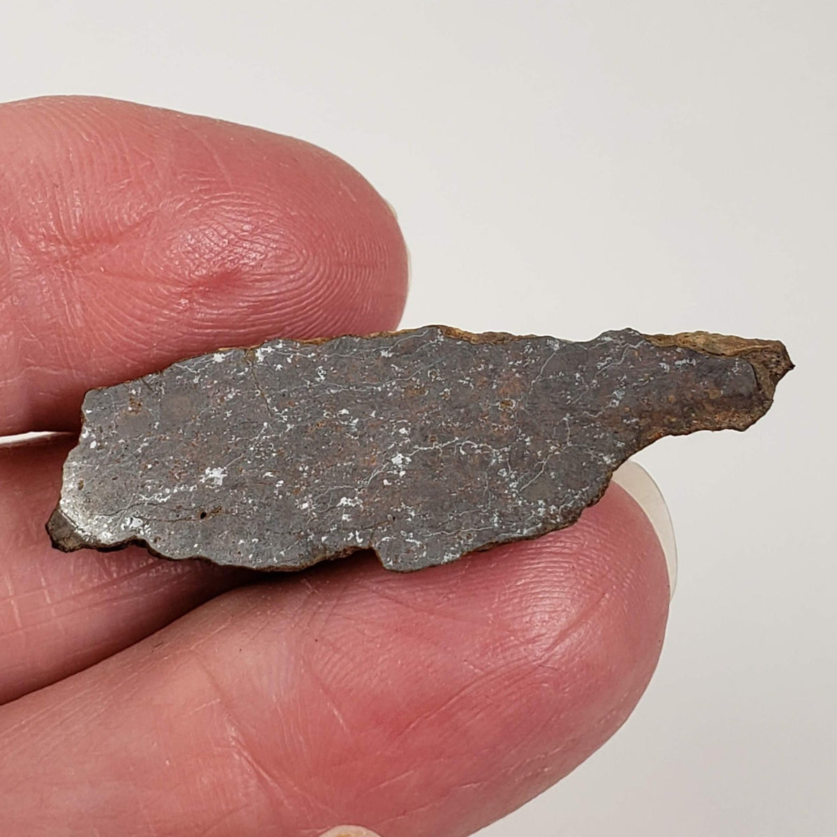  Shişr 010 Meteorite | 4 Grams | End Cut | L5 Chondrite | Rare | Shişr Desert, Oman | SO24 2