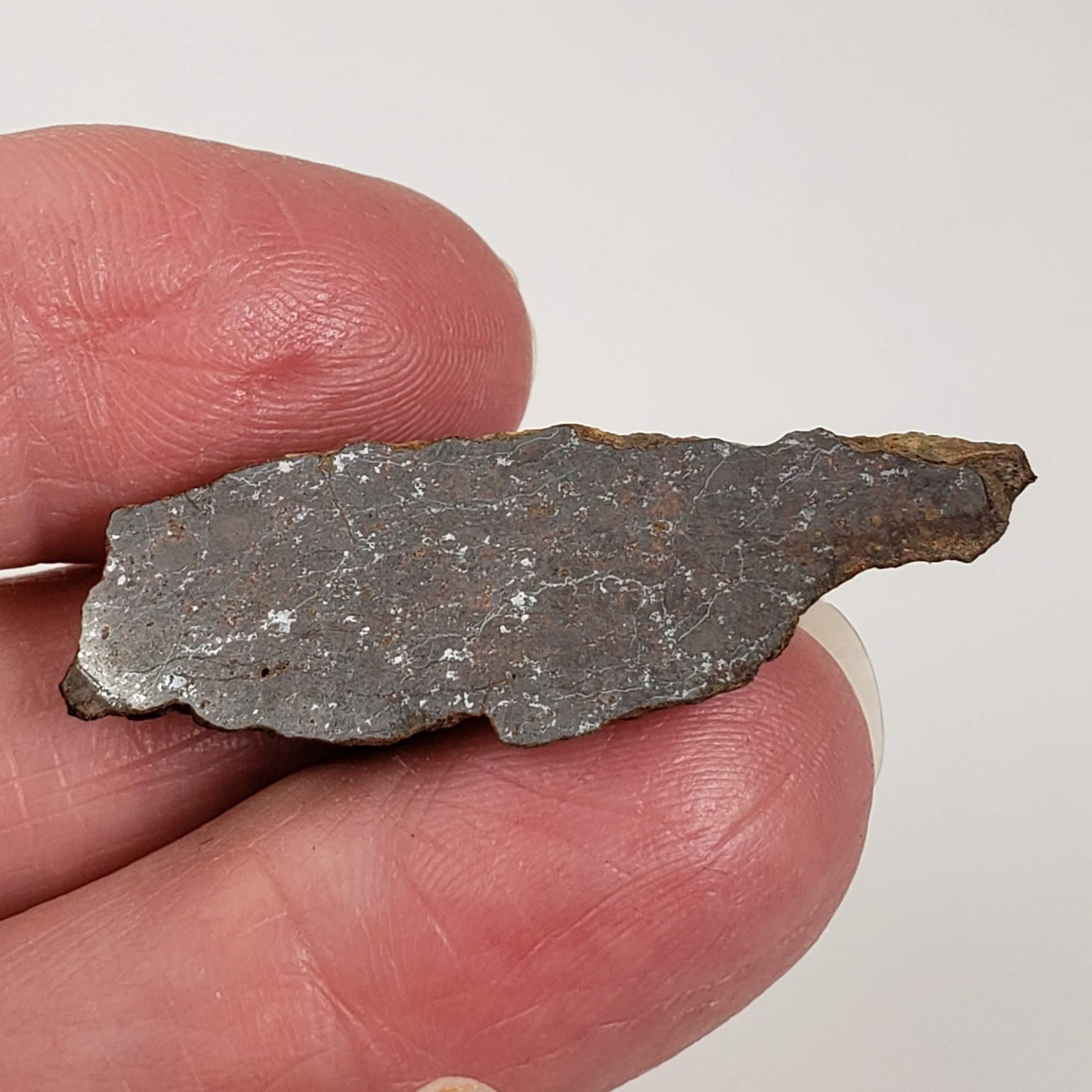  Shişr 010 Meteorite | 4 Grams | End Cut | L5 Chondrite | Rare | Shişr Desert, Oman | SO24 2