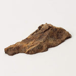  Shişr 010 Meteorite | 4 Grams | End Cut | L5 Chondrite | Rare | Shişr Desert, Oman | SO24 4