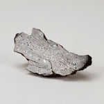  Shişr 010 Meteorite | 5.5 Grams | End Cut | L5 Chondrite | Rare | Shişr Desert, Oman | SO24 1