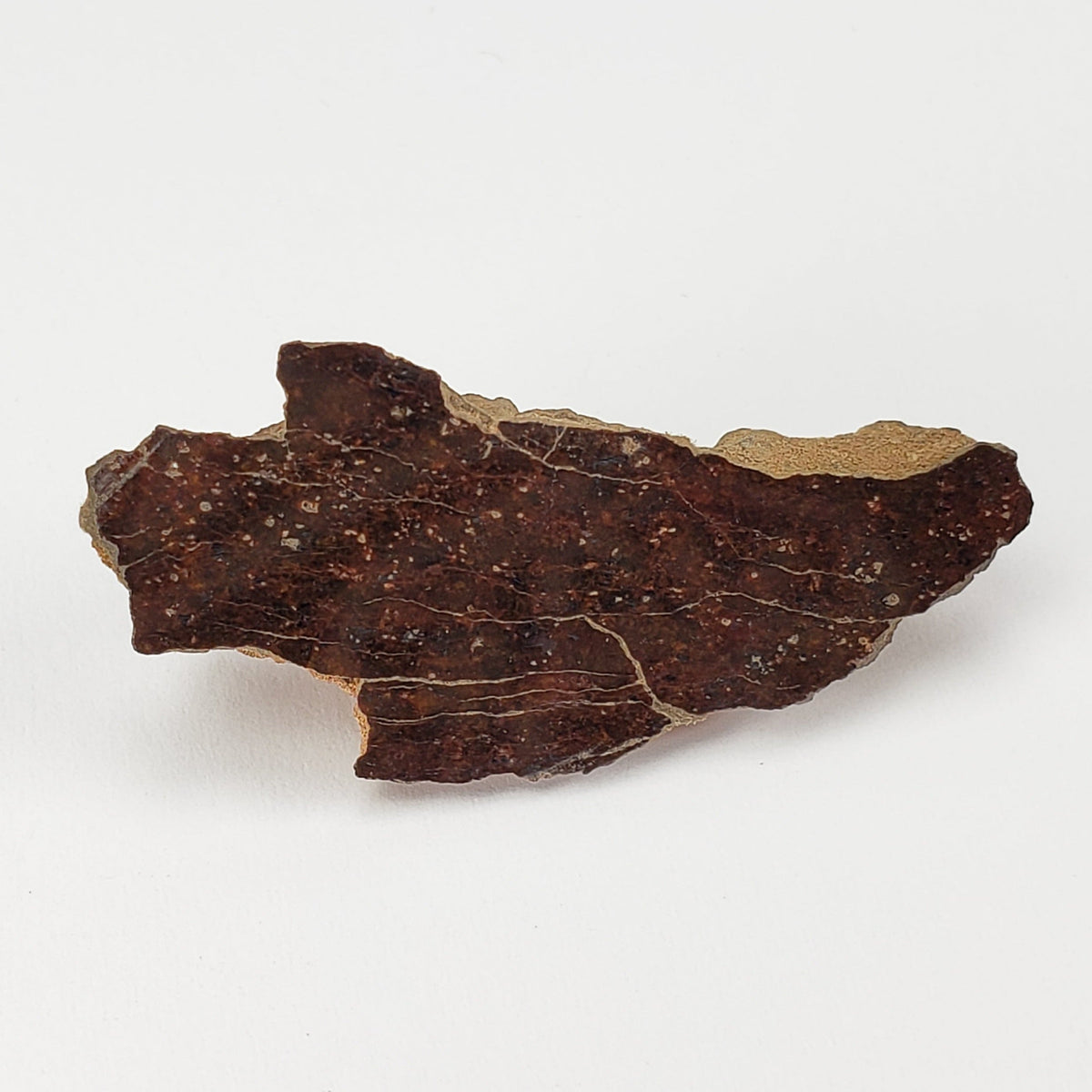  Shişr 010 Meteorite | 5.5 Grams | End Cut | L5 Chondrite | Rare | Shişr Desert, Oman | SO24 2