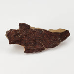  Shişr 010 Meteorite | 5.5 Grams | End Cut | L5 Chondrite | Rare | Shişr Desert, Oman | SO24 2