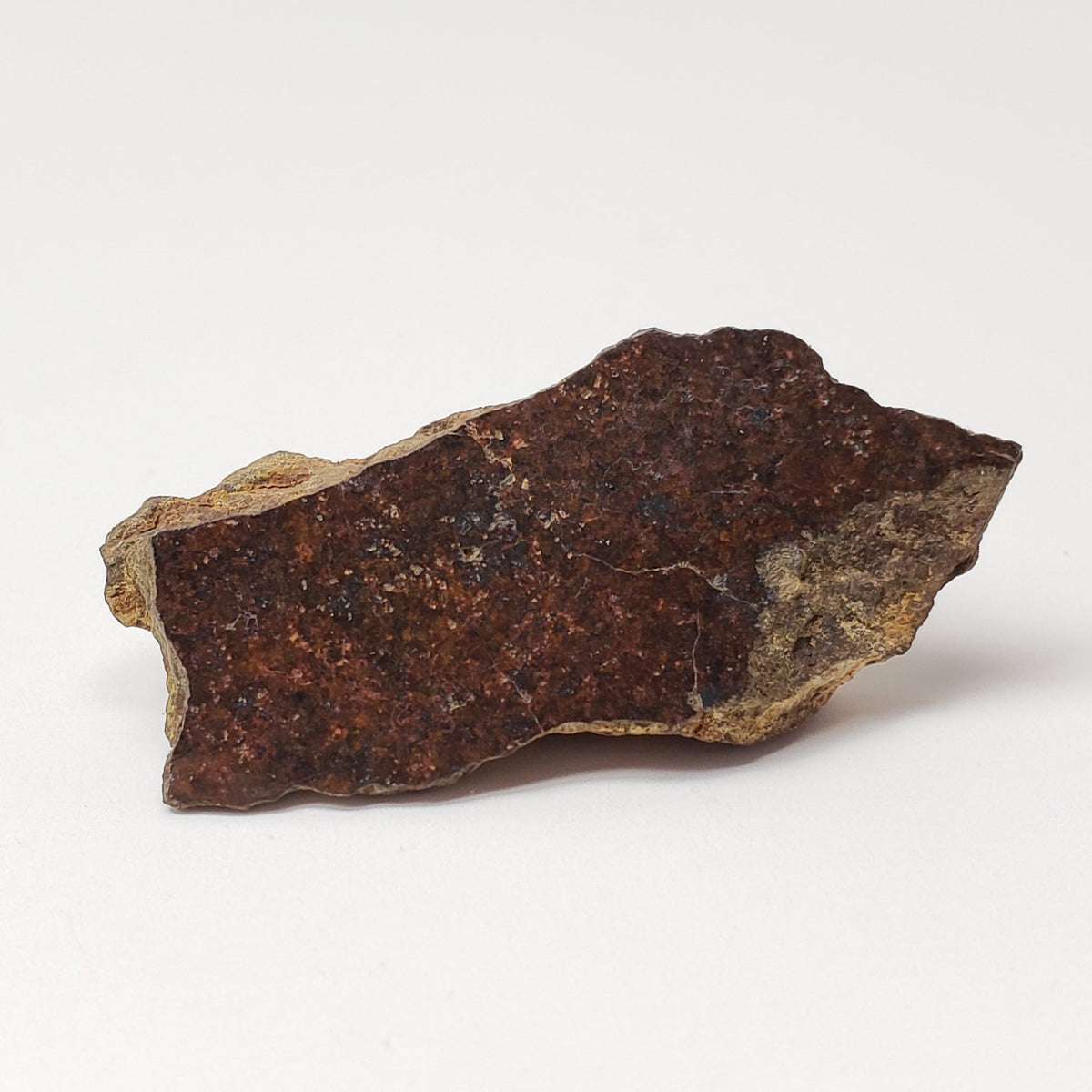  Shişr 010 Meteorite | 6.25 Grams | End Cut | L5 Chondrite | Rare | Shişr Desert, Oman | SO24 1
