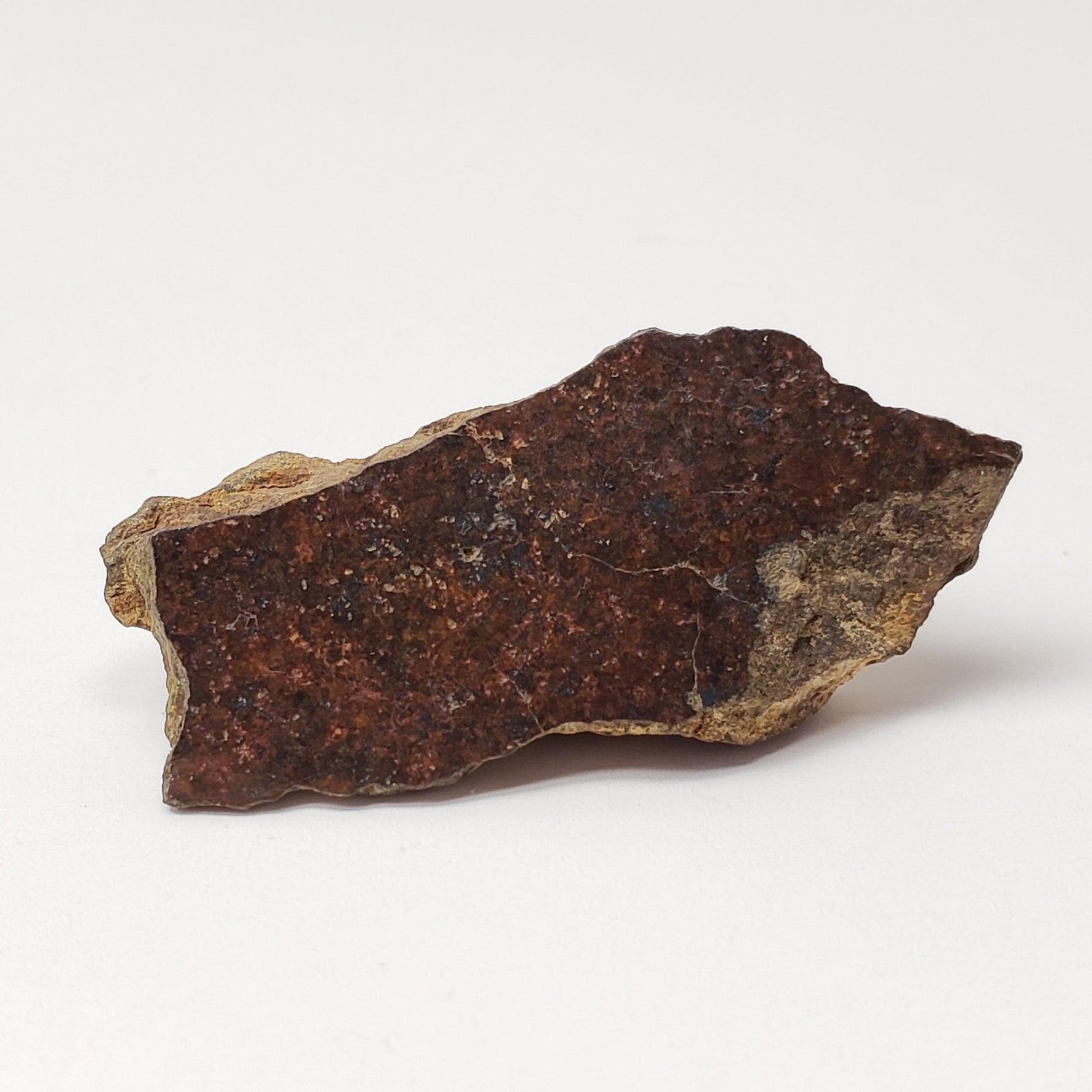  Shişr 010 Meteorite | 6.25 Grams | End Cut | L5 Chondrite | Rare | Shişr Desert, Oman | SO24 1
