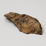  Shişr 010 Meteorite | 6.25 Grams | End Cut | L5 Chondrite | Rare | Shişr Desert, Oman | SO24 5