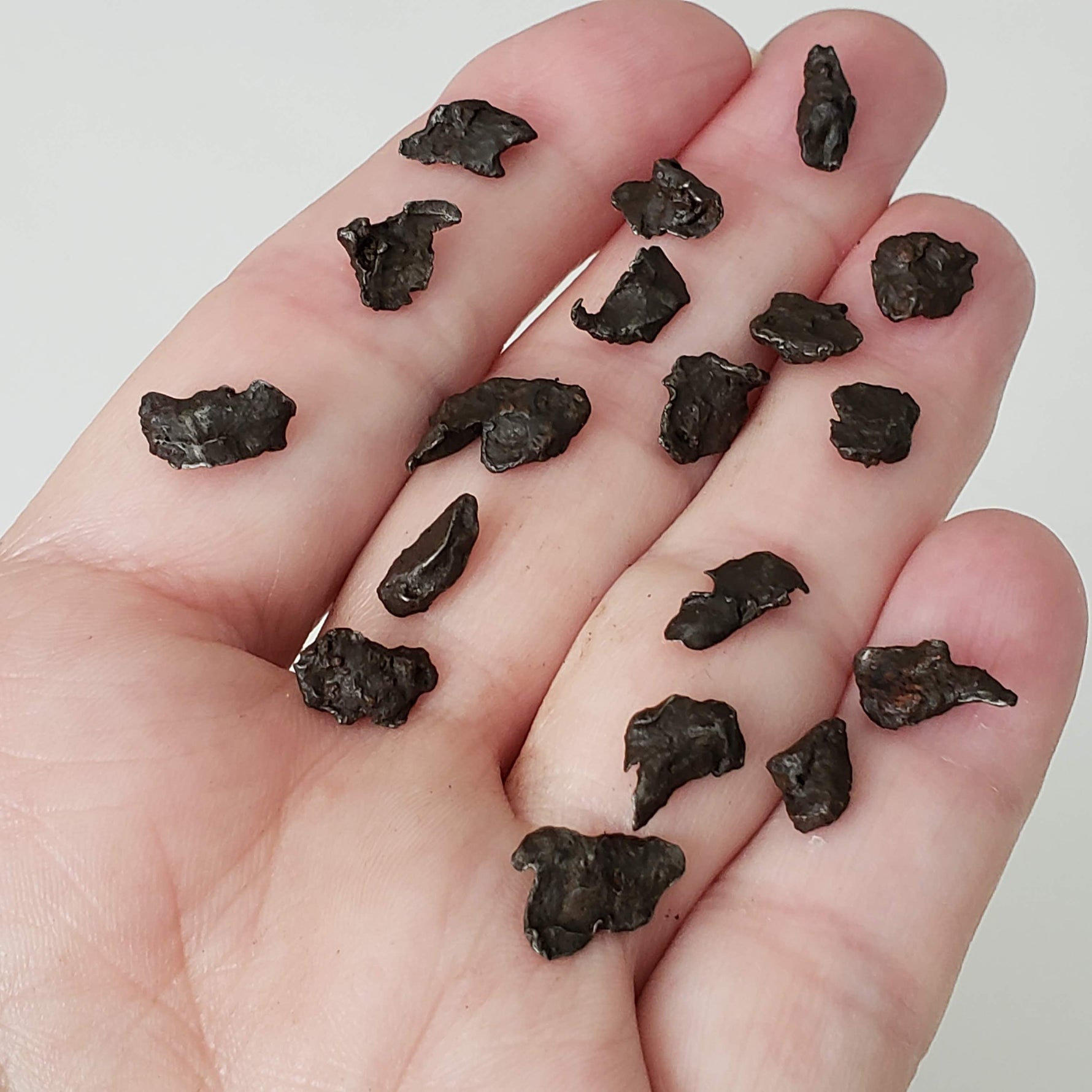  Sikhote-Alin Meteorite | 0.2-0.49 Grams | Individual | Iron IIAB | Shrapnel | SO24 