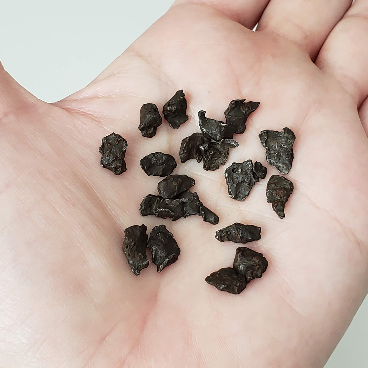  Sikhote-Alin Meteorite | 0.2-0.49 Grams | Individual | Iron IIAB | Shrapnel | SO24 1