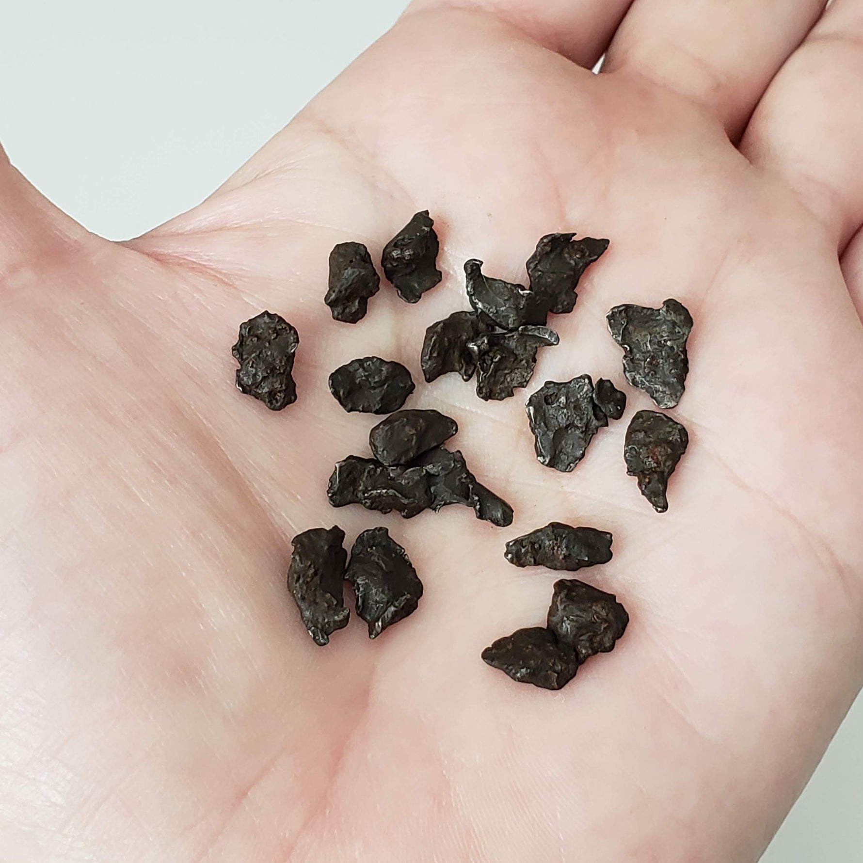  Sikhote-Alin Meteorite | 0.2-0.49 Grams | Individual | Iron IIAB | Shrapnel | SO24 1