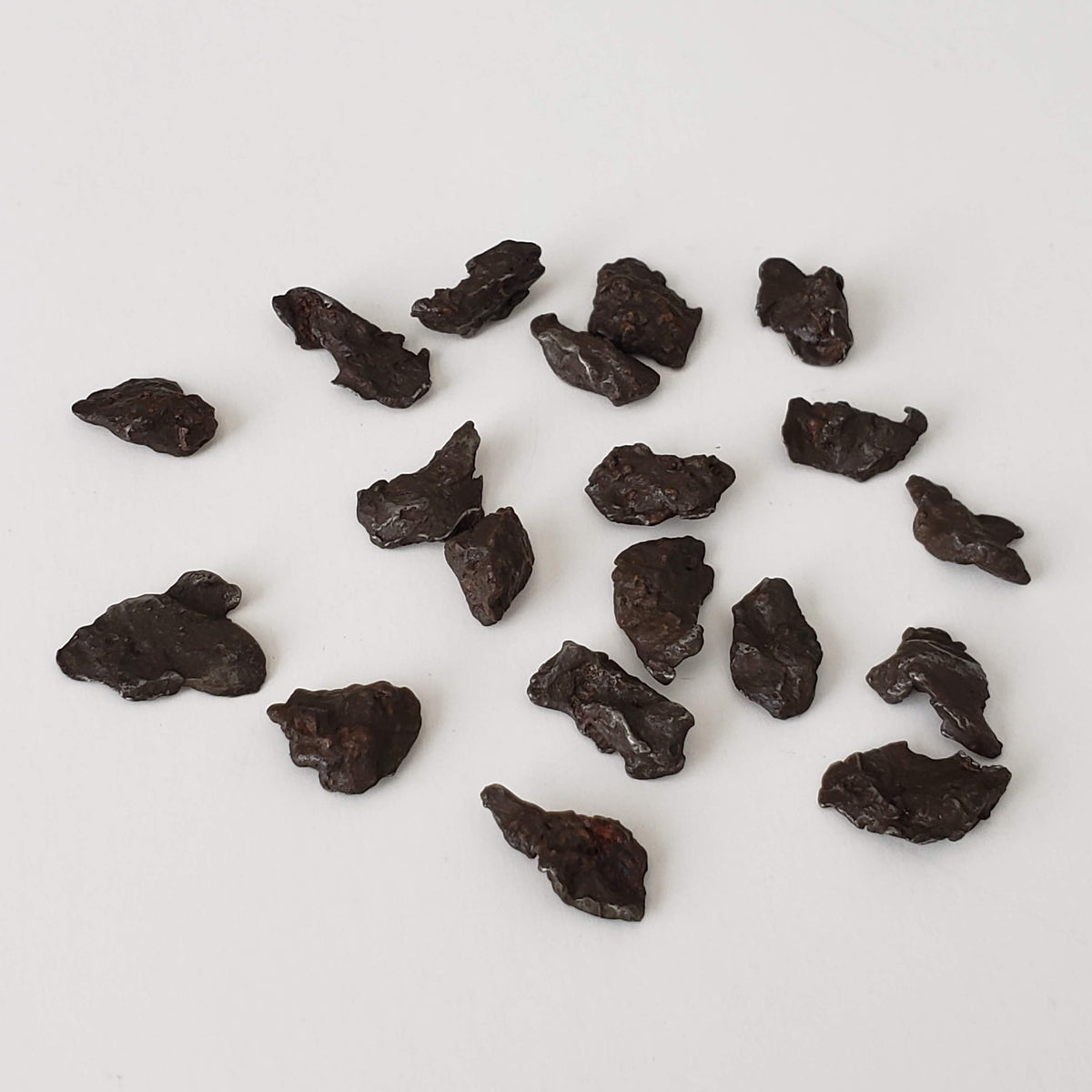  Sikhote-Alin Meteorite | 0.2-0.49 Grams | Individual | Iron IIAB | Shrapnel | SO24 2