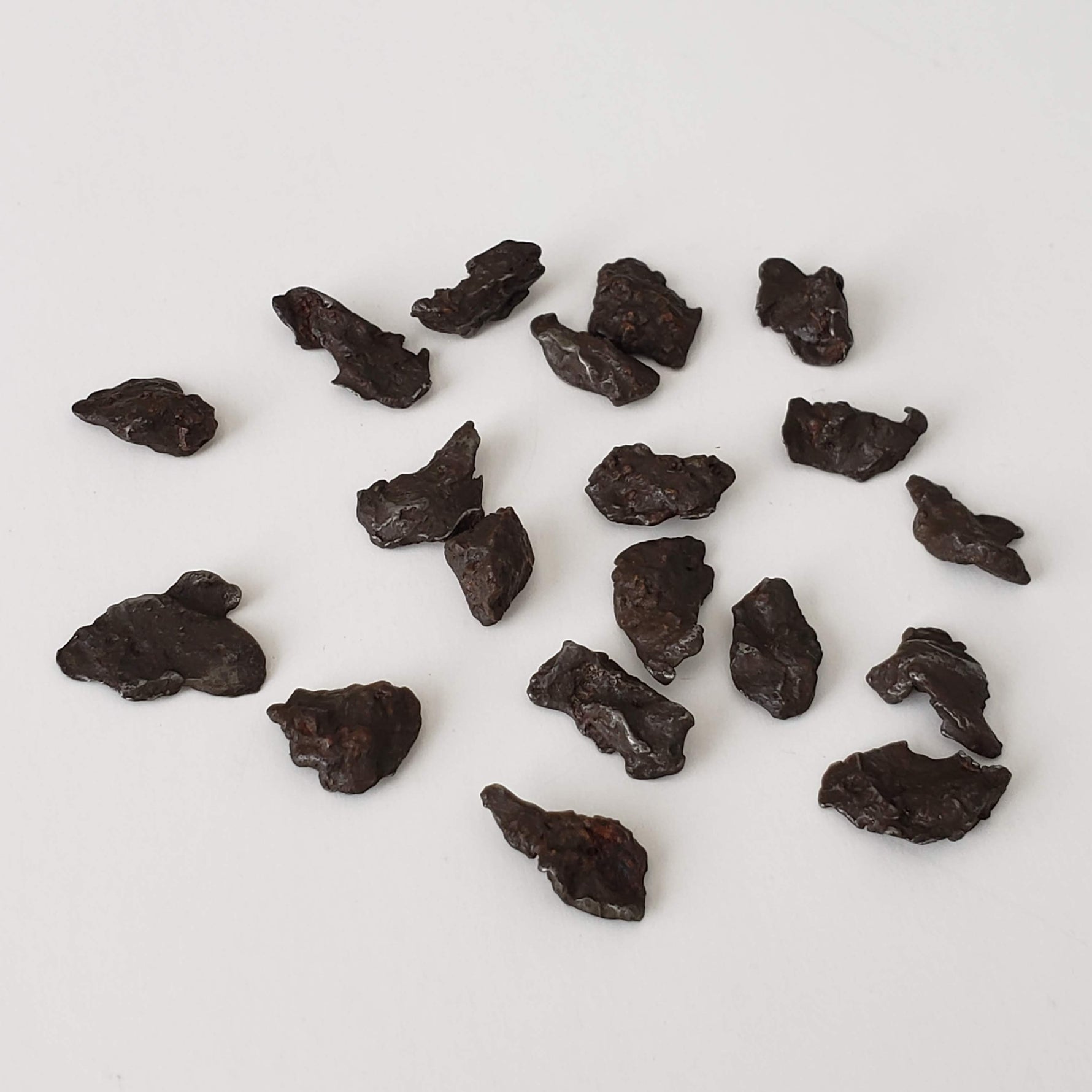 Sikhote-Alin Meteorite | 0.2-0.49 Grams | Individual | Iron IIAB | Shrapnel | SO24 2