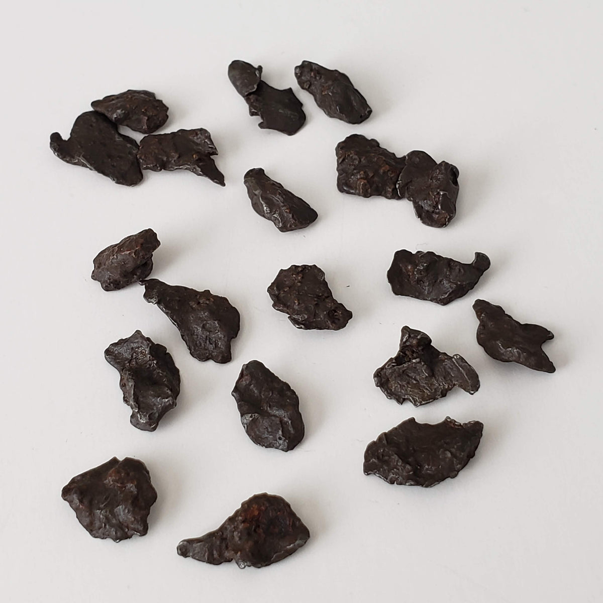  Sikhote-Alin Meteorite | 0.2-0.49 Grams | Individual | Iron IIAB | Shrapnel | SO24 4
