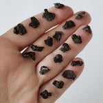  Sikhote-Alin Meteorite | 0.5-0.7 Grams | Individual | Iron IIAB | Shrapnel SO24 