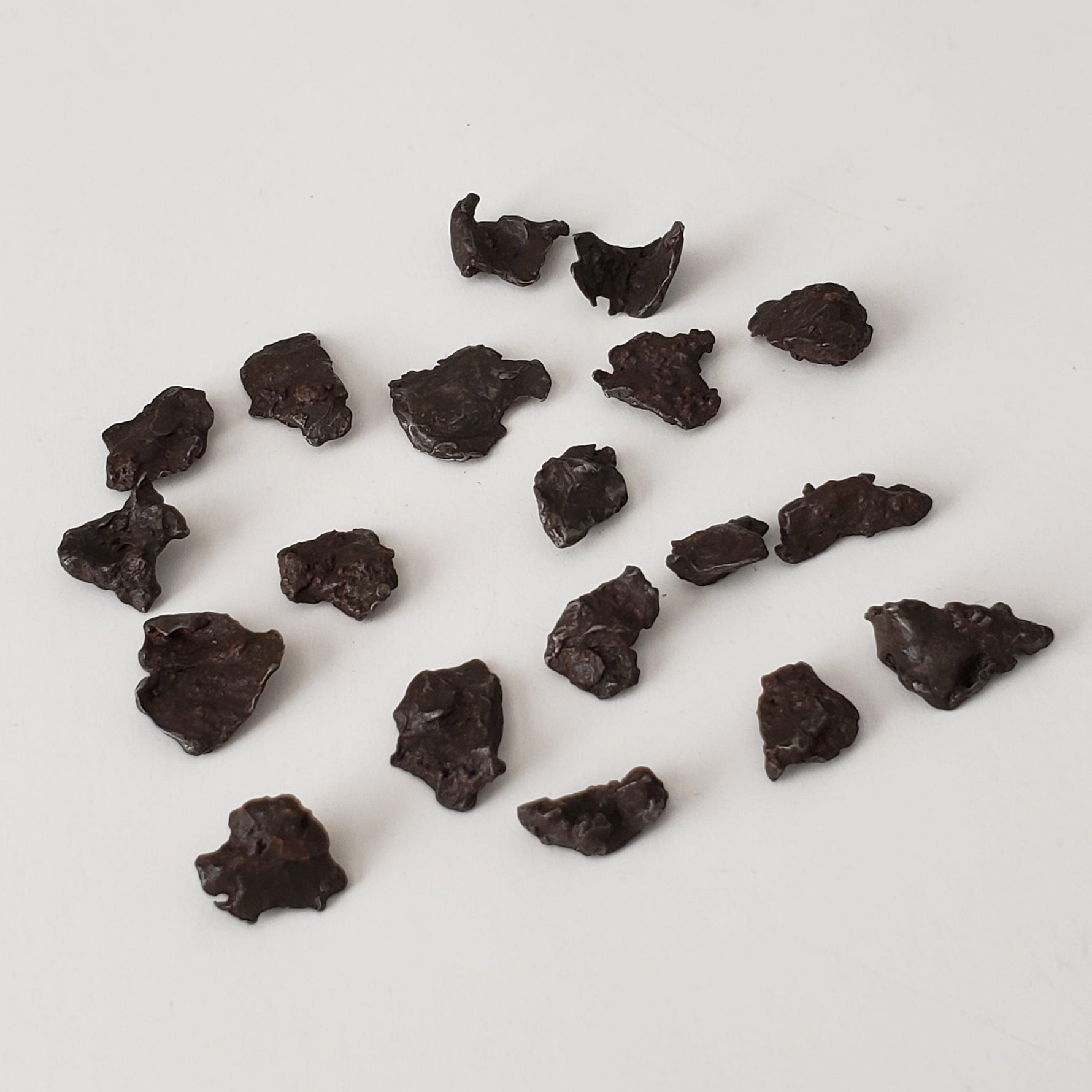  Sikhote-Alin Meteorite | 0.5-0.7 Grams | Individual | Iron IIAB | Shrapnel SO24 2