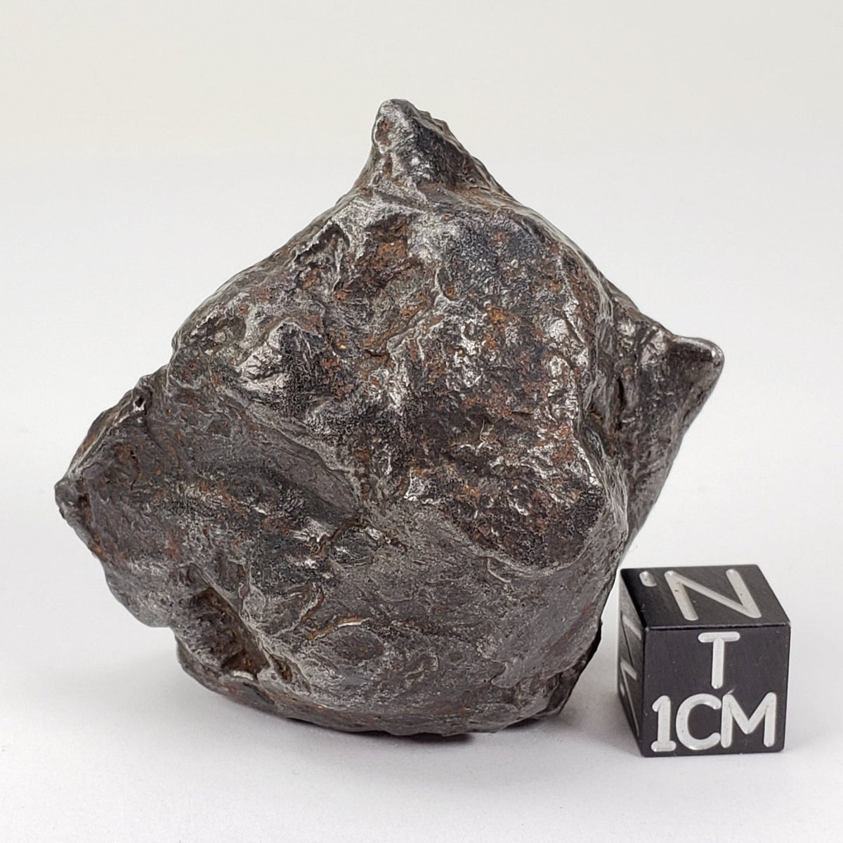  Sikhote-Alin Meteorite | 147.3 Grams | Individual | Iron IIAB | Shrapnel | SO24 