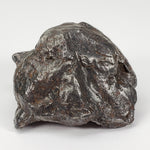  Sikhote-Alin Meteorite | 147.3 Grams | Individual | Iron IIAB | Shrapnel | SO24 1
