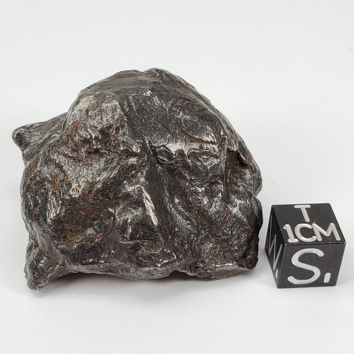  Sikhote-Alin Meteorite | 147.3 Grams | Individual | Iron IIAB | Shrapnel | SO24 9