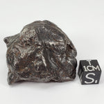  Sikhote-Alin Meteorite | 147.3 Grams | Individual | Iron IIAB | Shrapnel | SO24 9