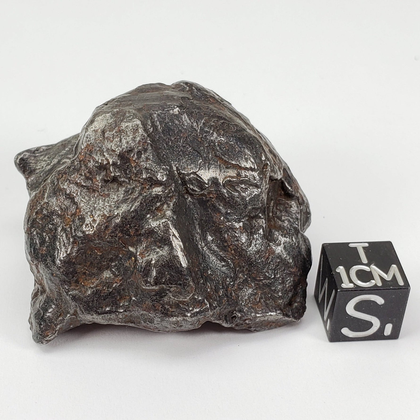  Sikhote-Alin Meteorite | 147.3 Grams | Individual | Iron IIAB | Shrapnel | SO24 9