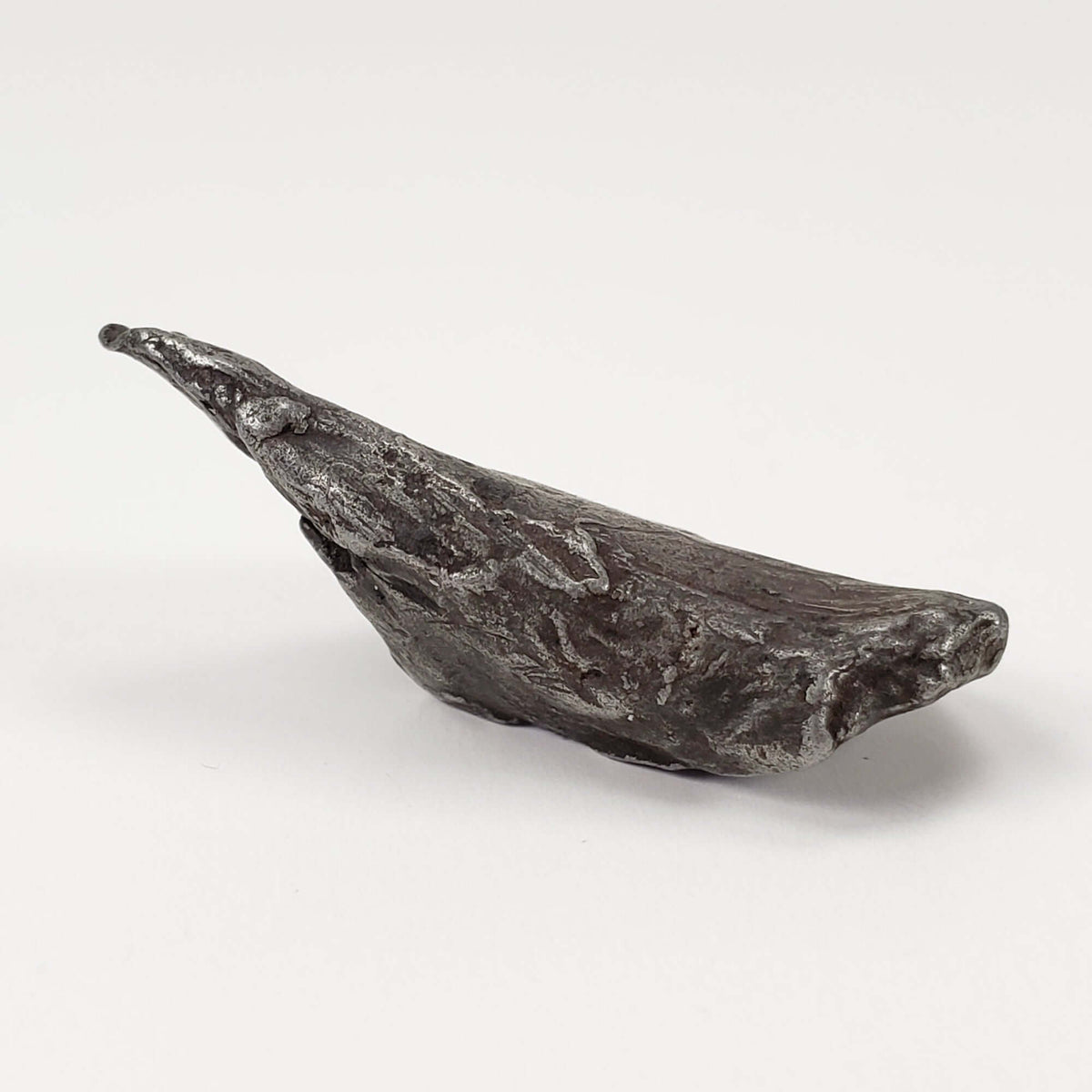  Sikhote-Alin Meteorite | 20.1 Grams | Individual | Iron IIAB | Shrapnel | SO24 1