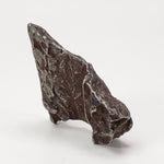  Sikhote-Alin Meteorite | 20.1 Grams | Individual | Iron IIAB | Shrapnel 1