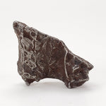  Sikhote-Alin Meteorite | 20.1 Grams | Individual | Iron IIAB | Shrapnel 2