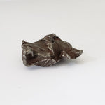  Sikhote-Alin Meteorite | 20.36 Grams | Individual | Iron IIAB | Shrapnel 4