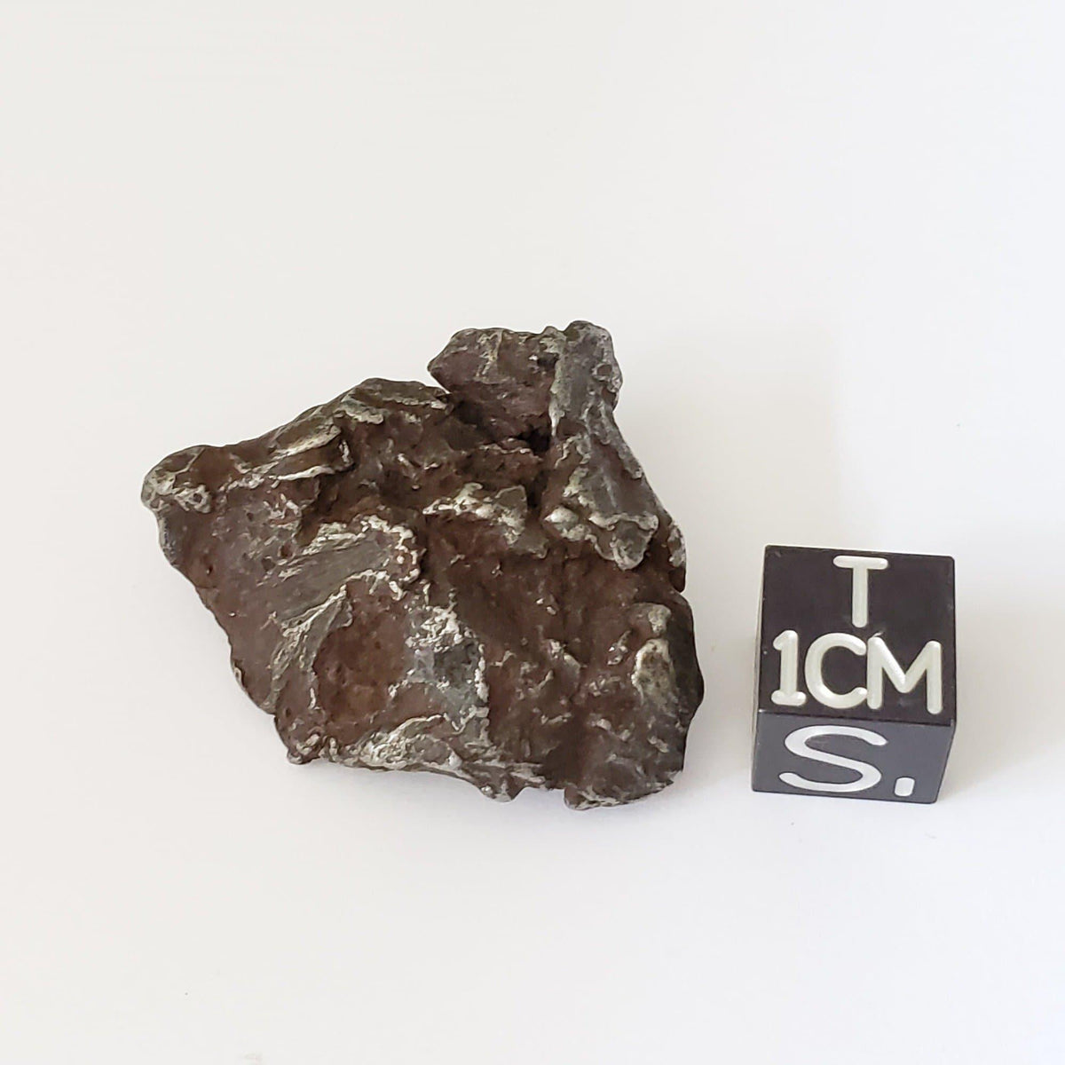  Sikhote-Alin Meteorite | 20.36 Grams | Individual | Iron IIAB | Shrapnel 