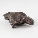  Sikhote-Alin Meteorite | 20.37 Grams | Individual | Iron IIAB | Shrapnel 1