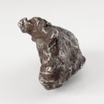  Sikhote-Alin Meteorite | 20.37 Grams | Individual | Iron IIAB | Shrapnel 2