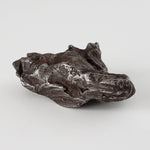  Sikhote-Alin Meteorite | 20.37 Grams | Individual | Iron IIAB | Shrapnel 5