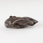  Sikhote-Alin Meteorite | 20.37 Grams | Individual | Iron IIAB | Shrapnel 7