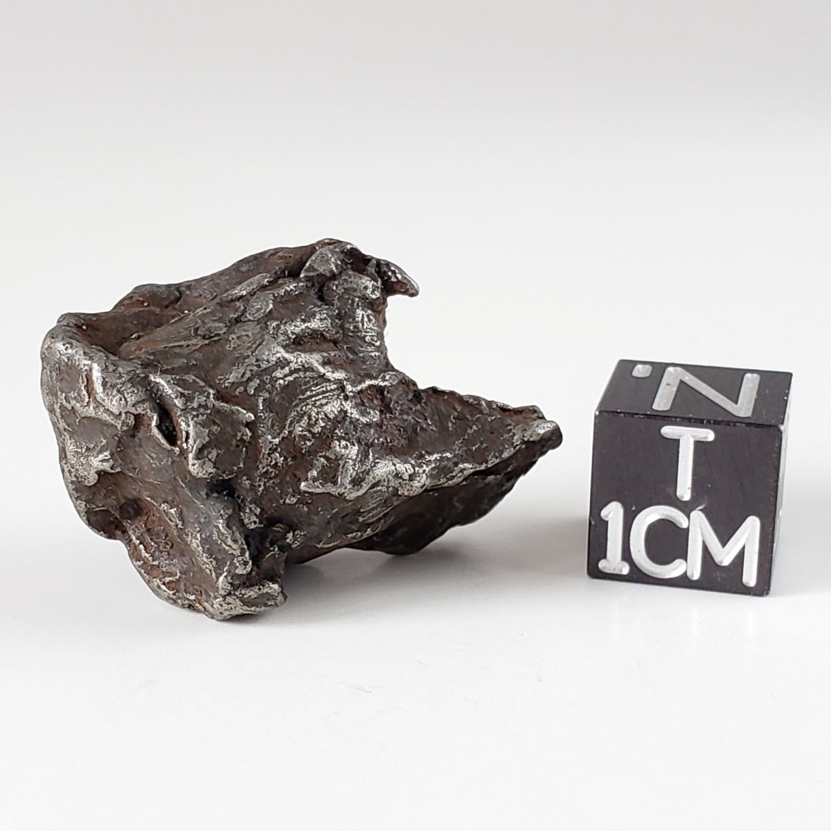  Sikhote-Alin Meteorite | 21 Grams | Individual | Iron IIAB | Shrapnel | SO24 