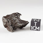  Sikhote-Alin Meteorite | 21 Grams | Individual | Iron IIAB | Shrapnel | SO24 