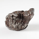  Sikhote-Alin Meteorite | 21 Grams | Individual | Iron IIAB | Shrapnel | SO24 4