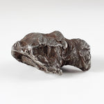  Sikhote-Alin Meteorite | 21 Grams | Individual | Iron IIAB | Shrapnel | SO24 9