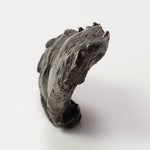 Sikhote-Alin Meteorite | 23.1 Grams | Individual | Iron IIAB | Shrapnel | SO24 2