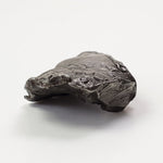  Sikhote-Alin Meteorite | 23.1 Grams | Individual | Iron IIAB | Shrapnel | SO24 7