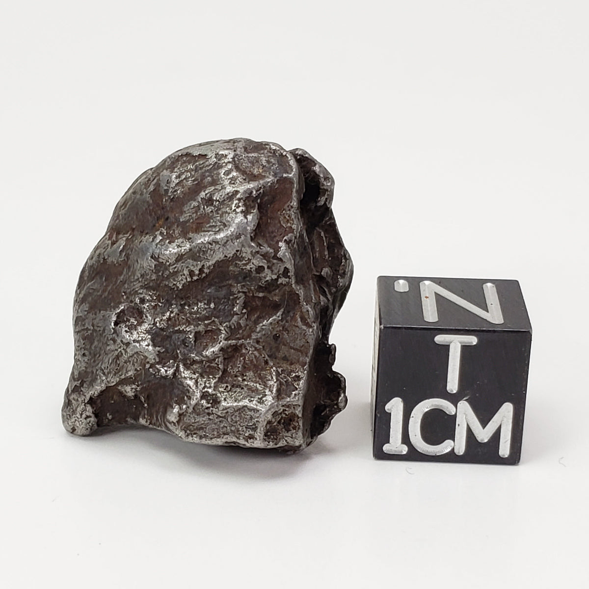  Sikhote-Alin Meteorite | 25 Grams | Individual | Iron IIAB | Shrapnel 